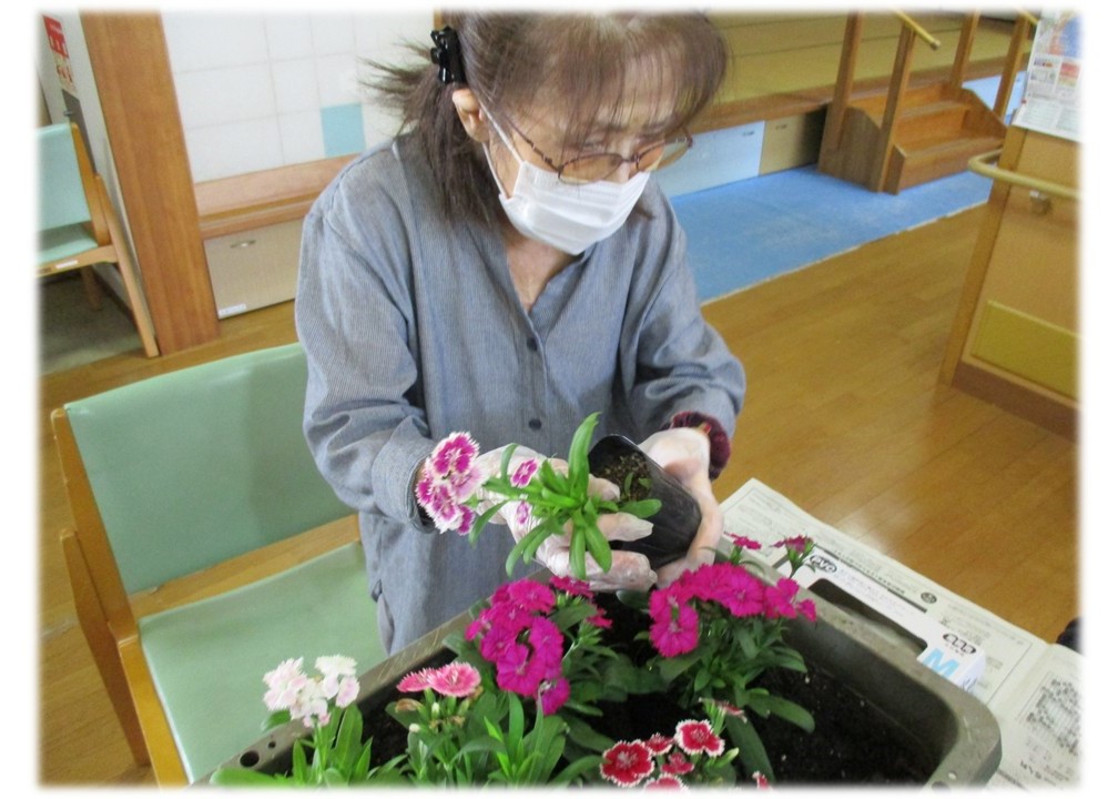 移植作業の様子